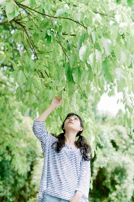 樱花动漫官网官方进入网站首页