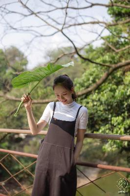 欢迎来到巨汝精灵森林第一集