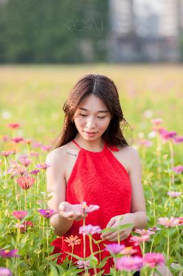 芳草地电影免费观看,青青河边草高清免费版新闻