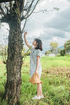 丁香花电影高清在线观看完整版